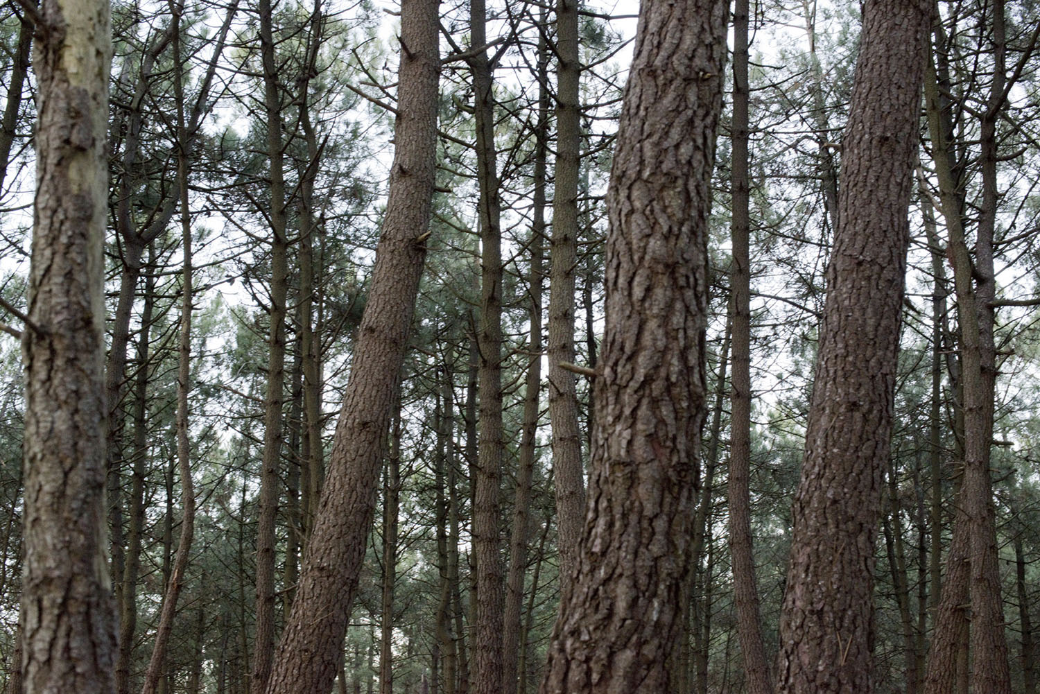 aucun